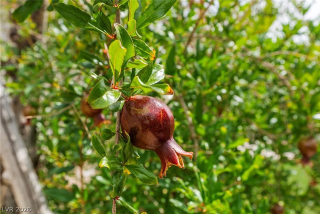 306 Karen Way, Henderson, NV 89015