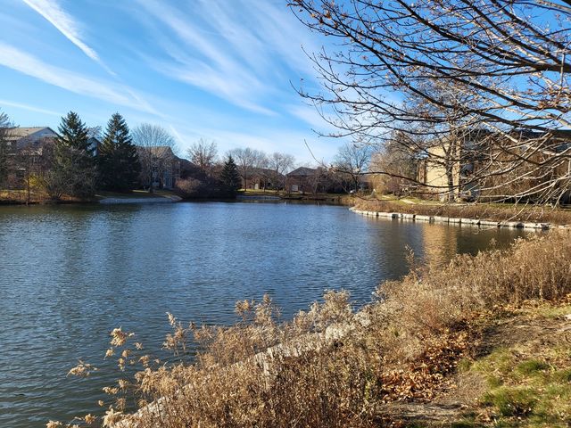 2640 Pirate Cove 3, Schaumburg, IL 60173
