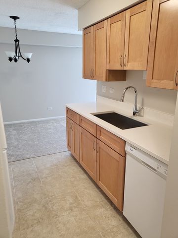 2640 Pirate Cove 3, Schaumburg, IL 60173