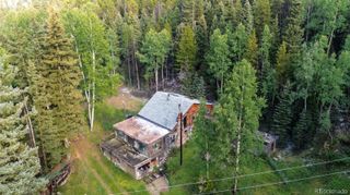 11173 S Barney Gulch Road, Conifer, CO 80433