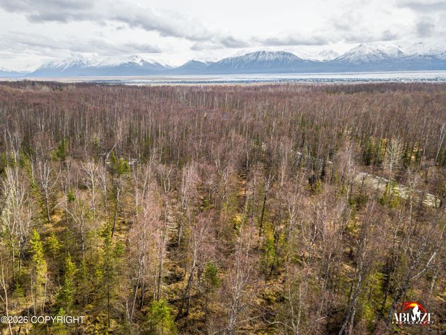 7927 W Hentila Street, Wasilla, AK 99623