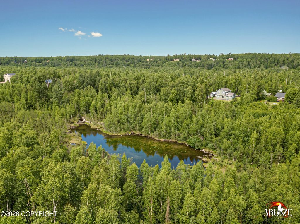 7927 W Hentila Street, Wasilla, AK 99623