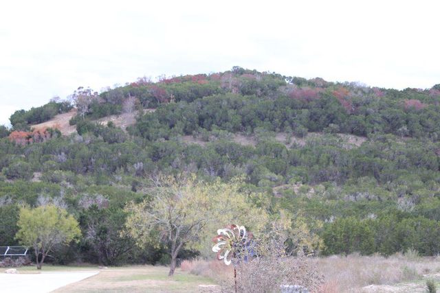 218 Spring Hollow DR, Bertram, TX 78605