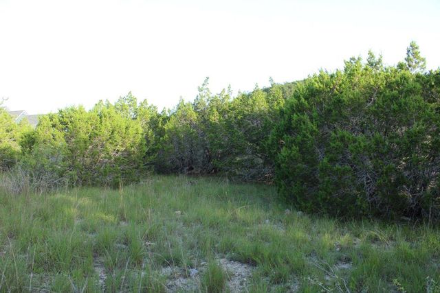 218 Spring Hollow DR, Bertram, TX 78605