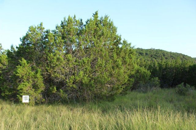 218 Spring Hollow DR, Bertram, TX 78605