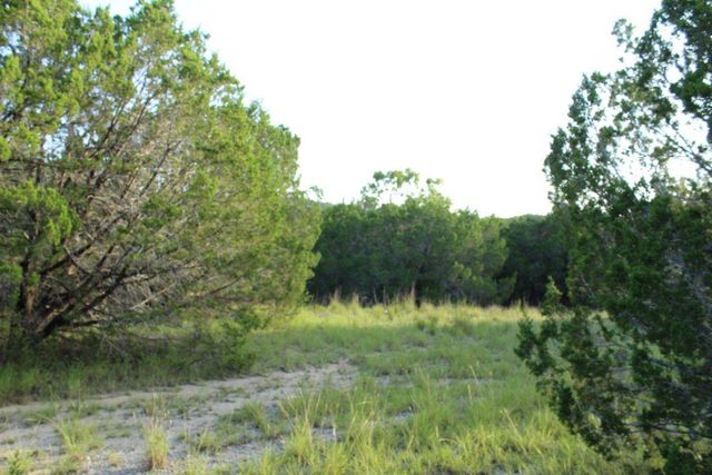 218 Spring Hollow DR, Bertram, TX 78605