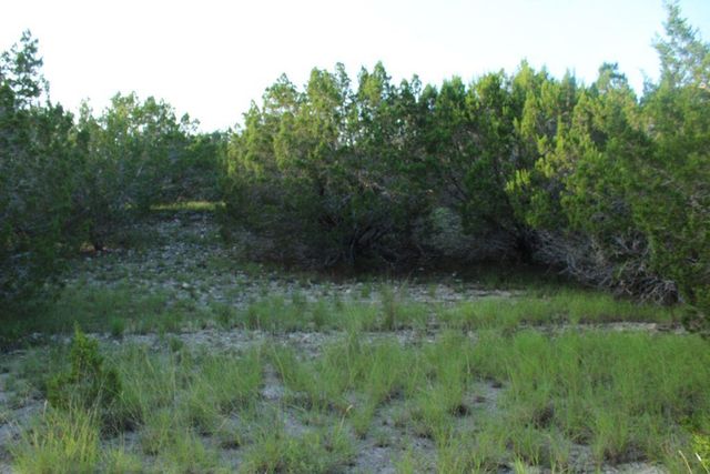 218 Spring Hollow DR, Bertram, TX 78605