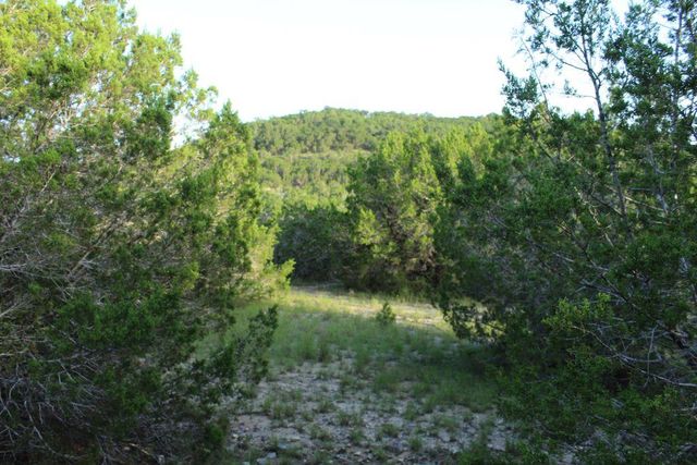 218 Spring Hollow DR, Bertram, TX 78605