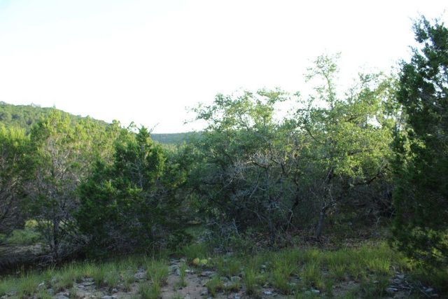 218 Spring Hollow DR, Bertram, TX 78605