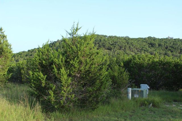 218 Spring Hollow DR, Bertram, TX 78605