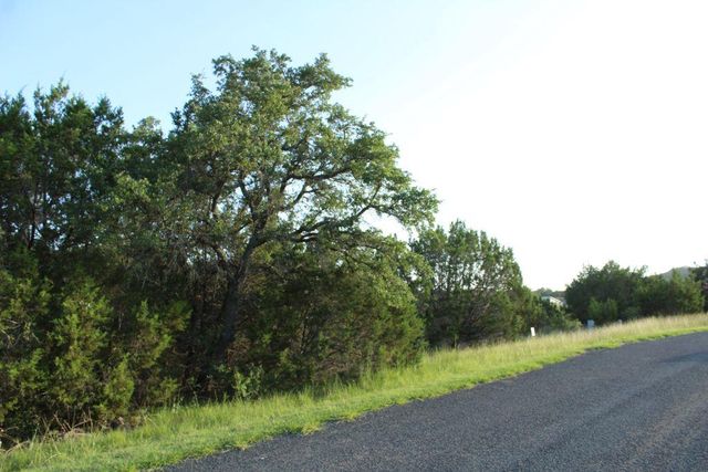 218 Spring Hollow DR, Bertram, TX 78605