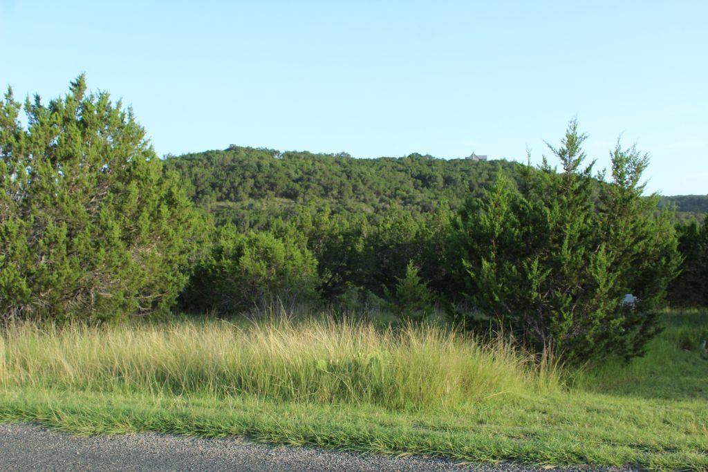 218 Spring Hollow DR, Bertram, TX 78605