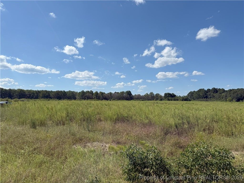 Lot 4 Collier Road, Wade, NC 28395