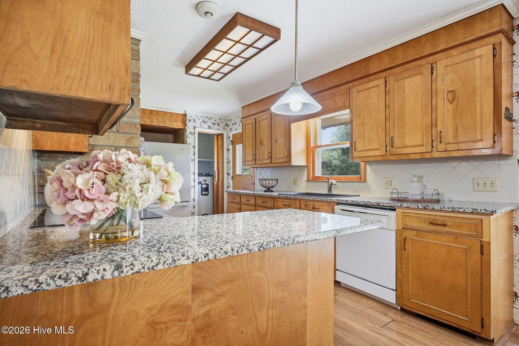 Image 5 of property listing at 1020 Longshore Drive, Snow Hill, NC 28580