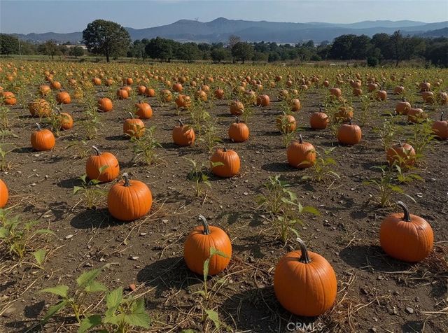 22060 Olivas Avenue, Nuevo, CA 92567