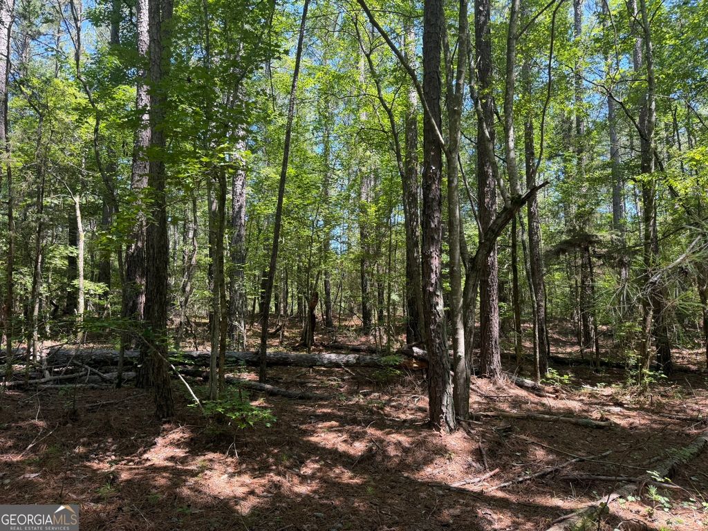 0 Ruckersville Road, Elberton, GA 30635 — photo 2