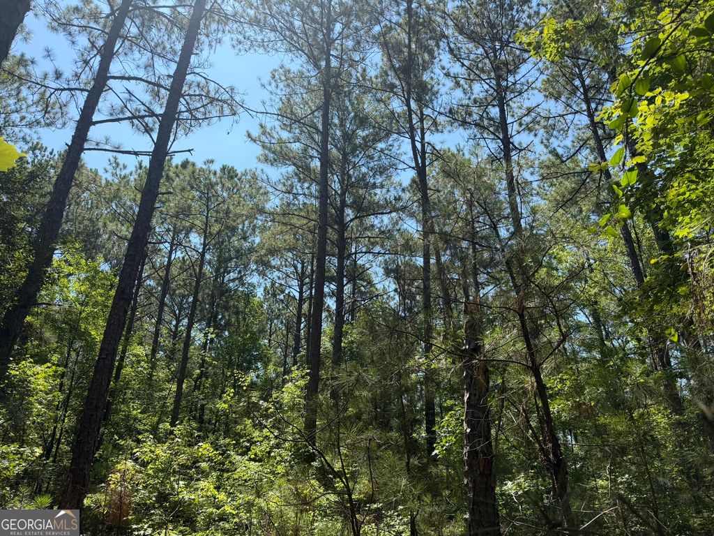 0 Ruckersville Road, Elberton, GA 30635 — photo 3