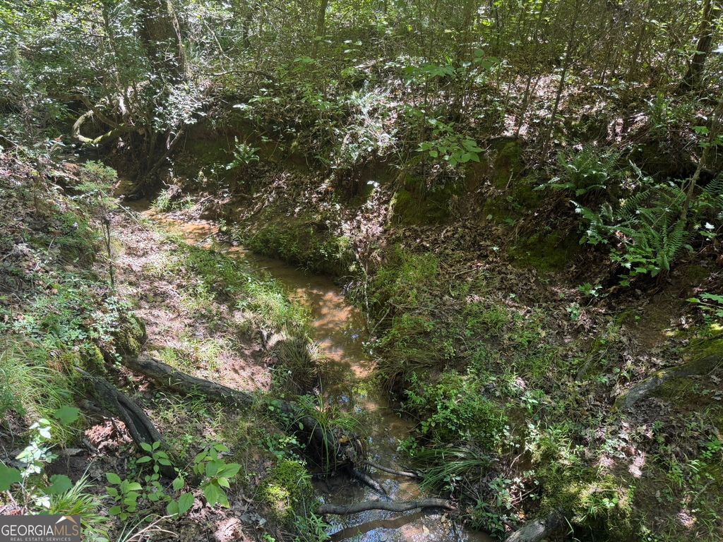 0 Ruckersville Road, Elberton, GA 30635 — photo 5