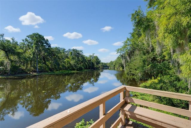 11506 ORILLA DEL RIO PLACE, Temple Terrace, FL 33617