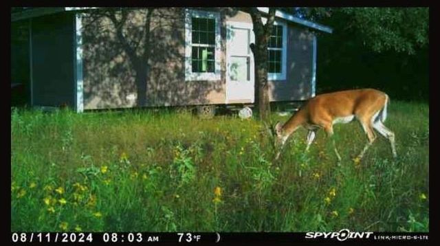 0000 Tbd County, Oakwood, TX 75855