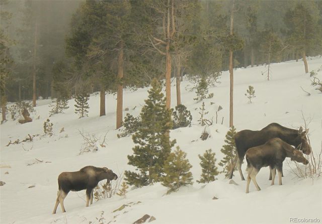 200 Kimwood Road, Black Hawk, CO 80422