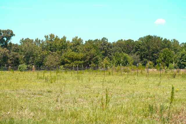 189 Indian Oaks Lane, Cottageville, SC 29435