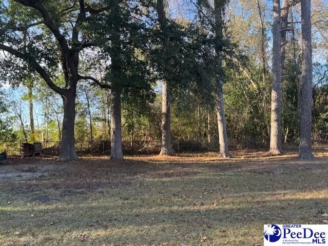 1520 Willis Drive, Hartsville, SC 29550