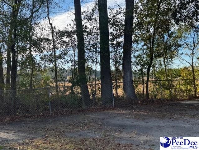 1520 Willis Drive, Hartsville, SC 29550