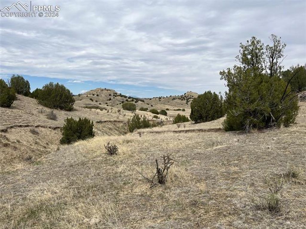 Black Horse Drive, Pueblo, CO 81004 — photo 2