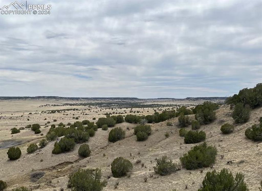 Black Horse Drive, Pueblo, CO 81004 — photo 5