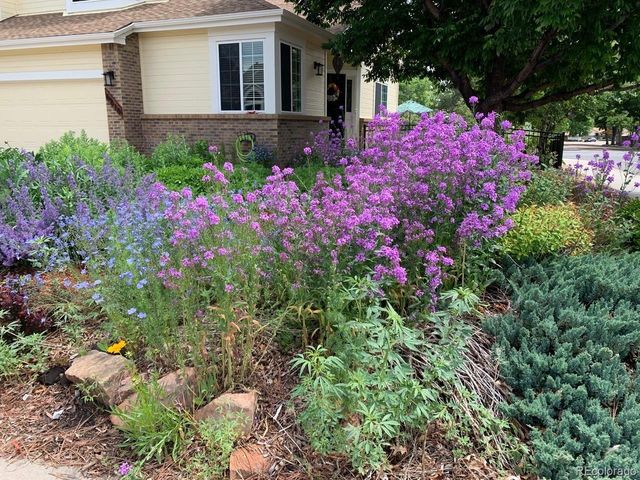 6810 Simms Ct, Arvada, CO 80004