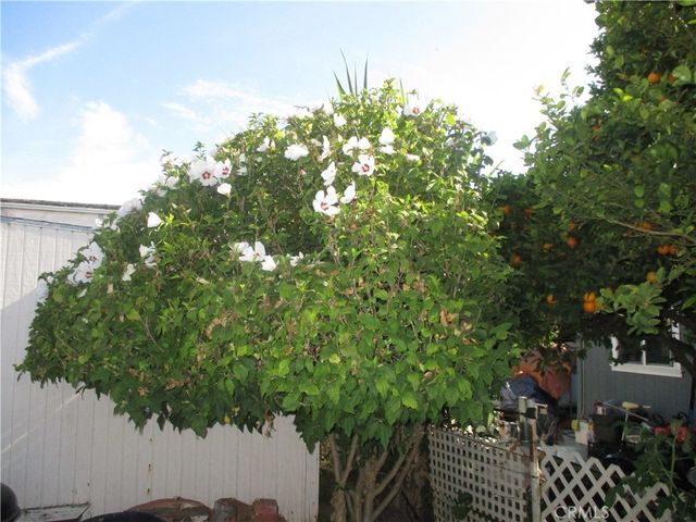 337 Rodgers, Ventura, CA 93003