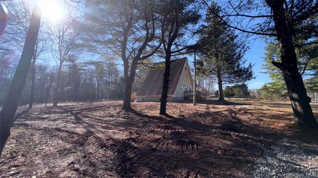 107 Pinewood Road, Cochecton, NY 12726