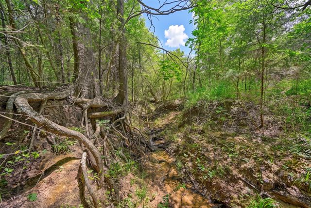 8514 County Road 313, Plantersville, TX 77363