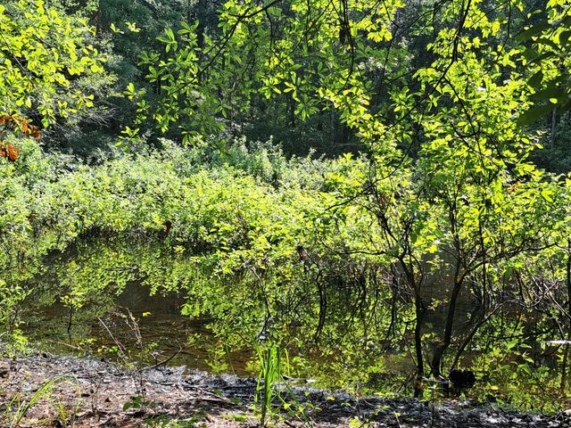 01 Foreever Eclipse Ln, Cross, SC 29436