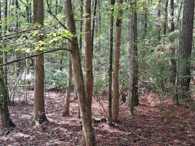 01 Foreever Eclipse Ln, Cross, SC 29436