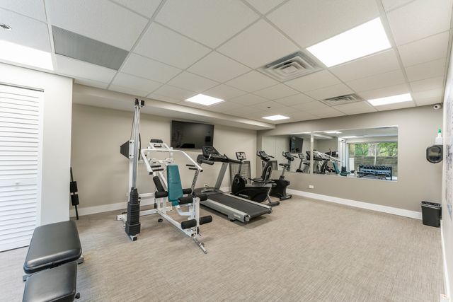 33561 N Royal Oak Lane 209, Grayslake, IL 60030