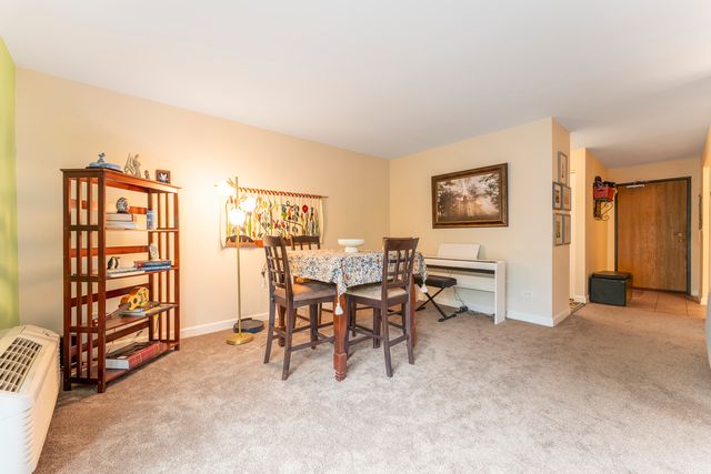 33561 N Royal Oak Lane 209, Grayslake, IL 60030