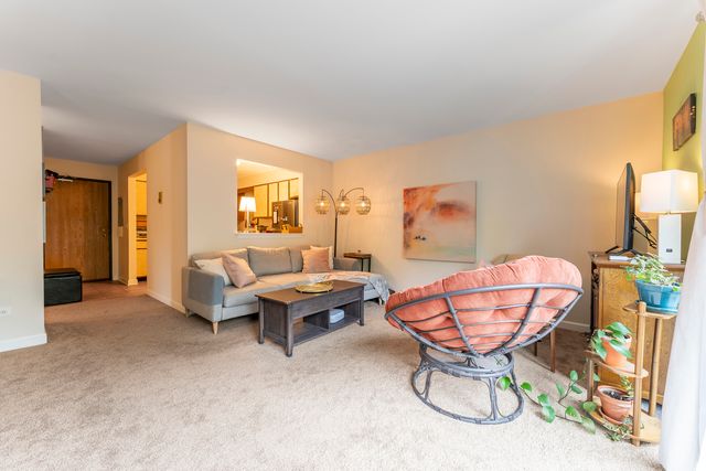 33561 N Royal Oak Lane 209, Grayslake, IL 60030