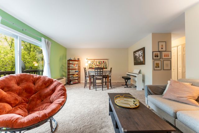 33561 N Royal Oak Lane 209, Grayslake, IL 60030