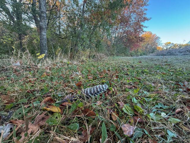 6302 20th Avenue SE, Rochester, MN 55904