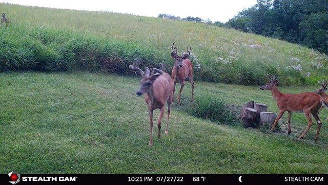 6302 20th Avenue SE, Rochester, MN 55904