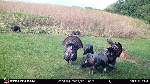 6302 20th Avenue SE, Rochester, MN 55904