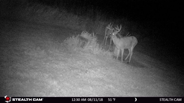 6302 20th Avenue SE, Rochester, MN 55904