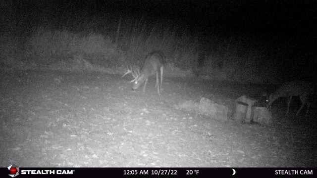 6302 20th Avenue SE, Rochester, MN 55904