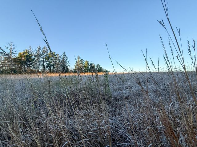 6302 20th Avenue SE, Rochester, MN 55904