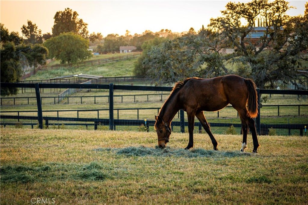 Image 1 of property listing at 1977 W San Marcos Pass Road, Santa Ynez, CA 93460