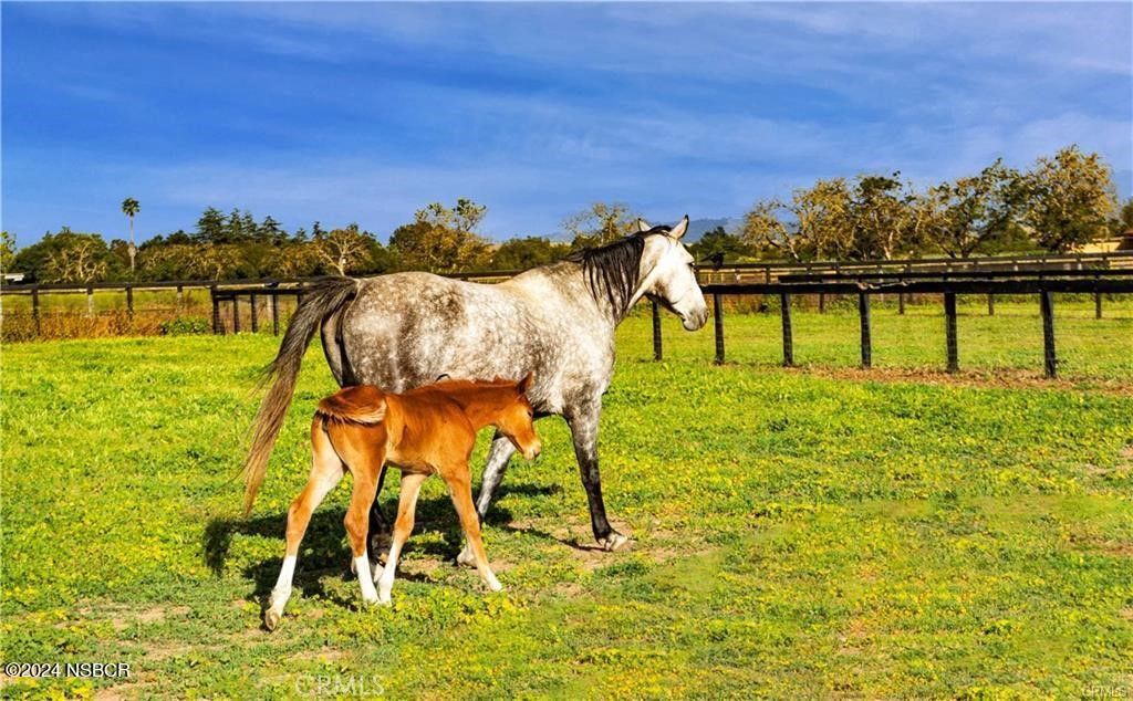 Image 37 of property listing at 1977 W San Marcos Pass Road, Santa Ynez, CA 93460