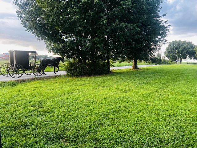 961 Smoot Rd, Morrison, TN 37357