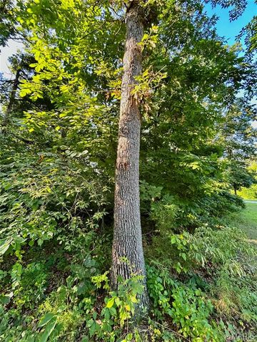 0 Tract 3 Private Lane 301 Off Highway 72, Salem, MO 65560